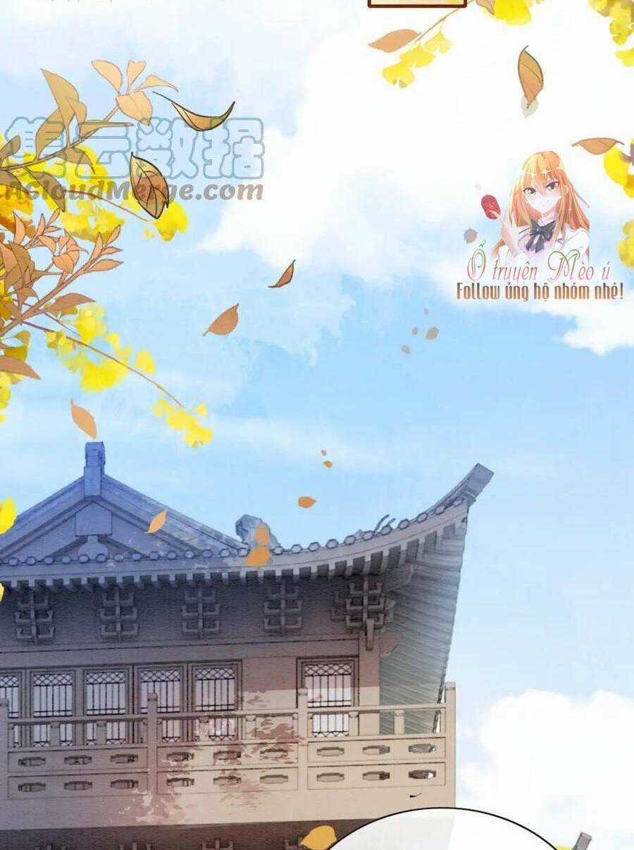 Sổ Tay Công Lược Hắc Liên Hoa Chapter 126 trang 30