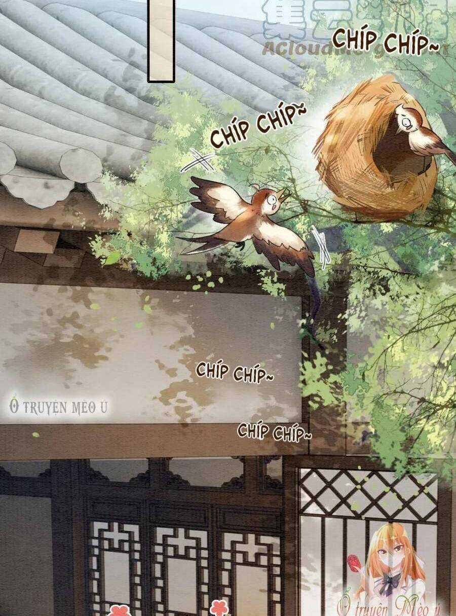 Sổ Tay Công Lược Hắc Liên Hoa Chapter 127 trang 21