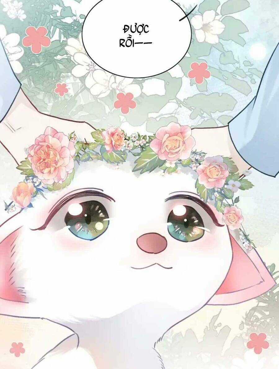 Sổ Tay Công Lược Hắc Liên Hoa Chapter 94 trang 68