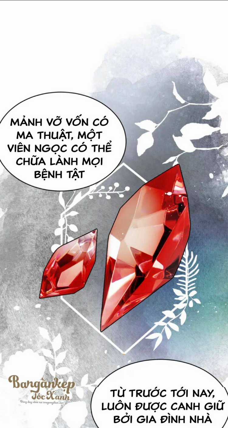 Sổ Tay Nuôi Dưỡng Rồng Chapter 6 trang 7