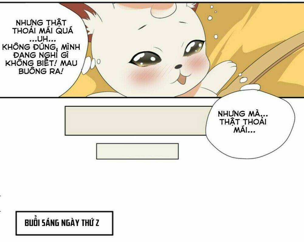Sổ Tay Nuôi Dưỡng Thần Tượng, Lên Đường Thôi! Chapter 3 trang 11