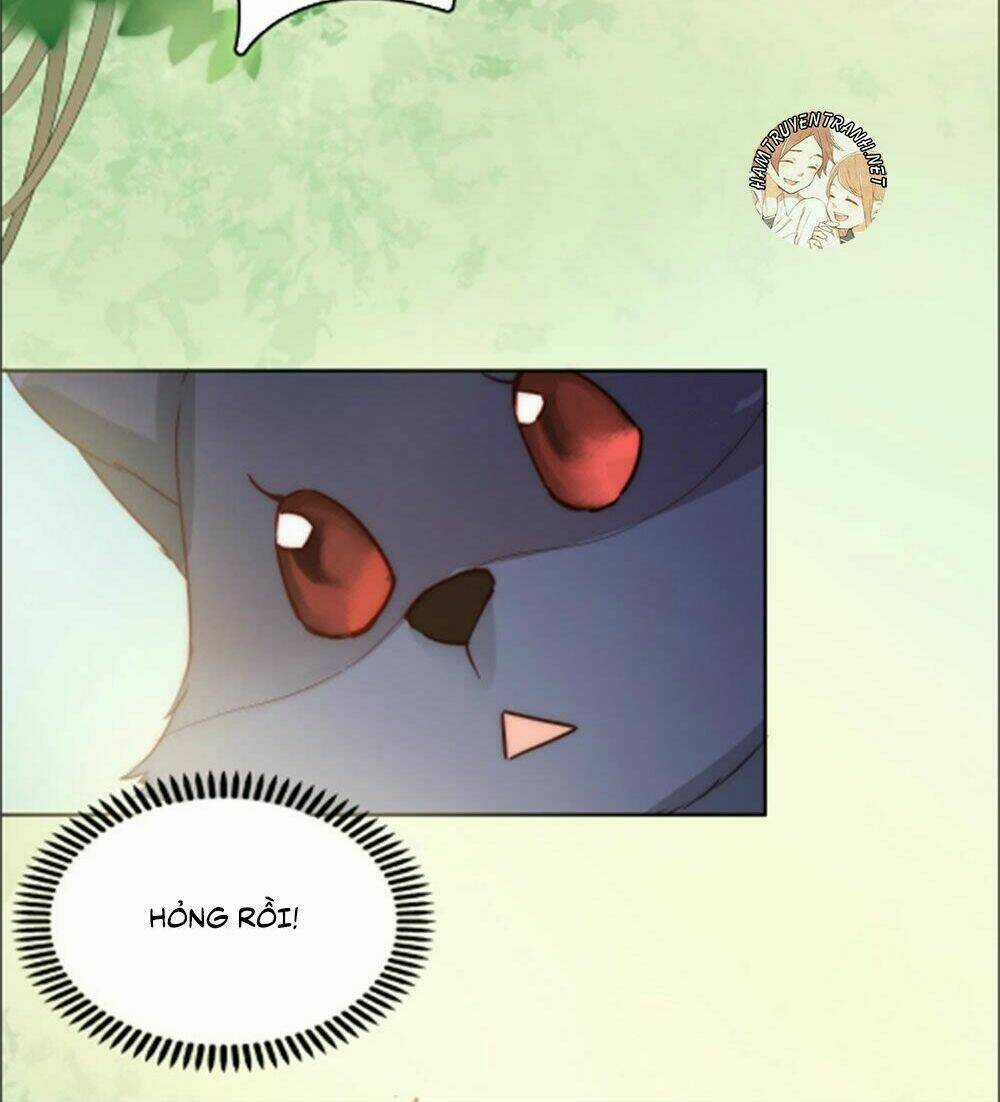 Sổ Tay Tình Yêu Của Tiểu Hồ Ly Chapter 9 trang 12