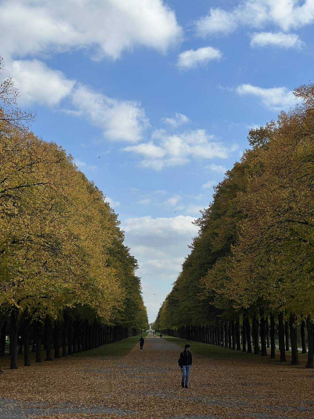 Soara Và Ngôi Nhà Cho Quái Vật Chapter 11 trang 44