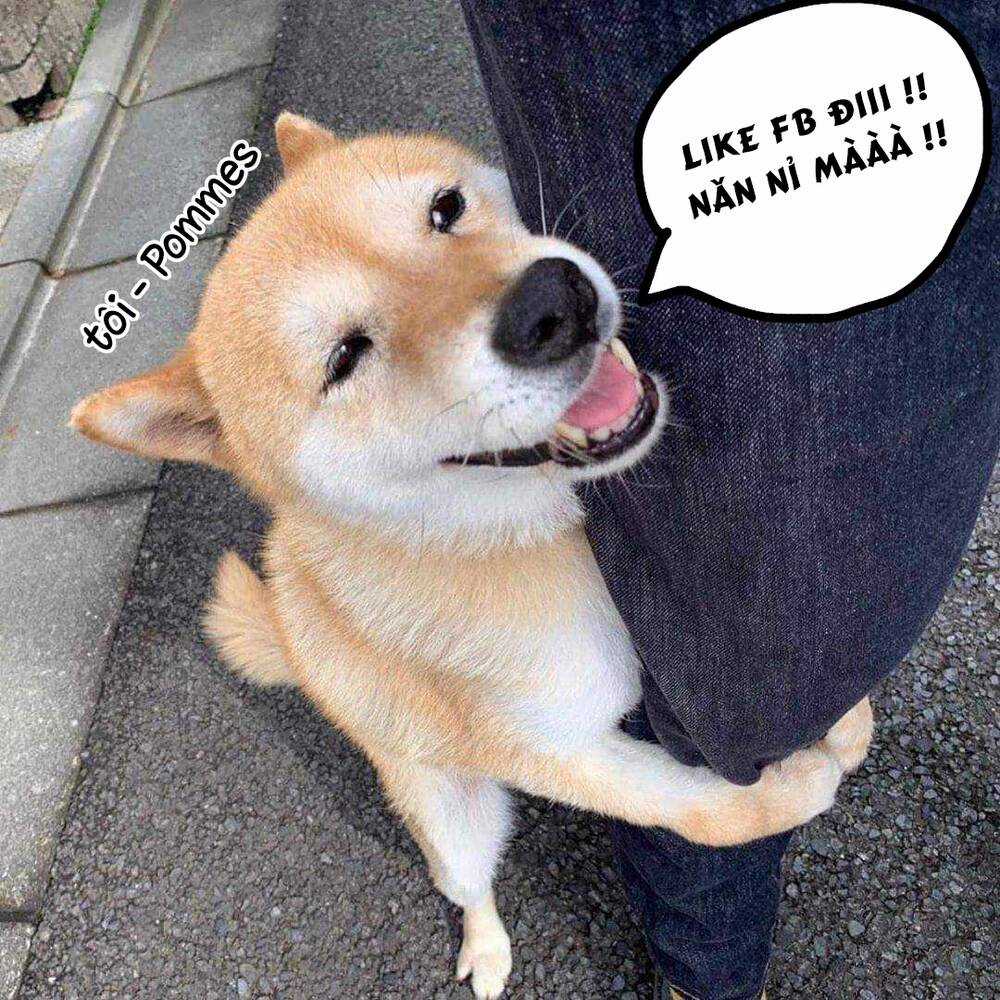 Soara Và Ngôi Nhà Cho Quái Vật Chapter 18 trang 40