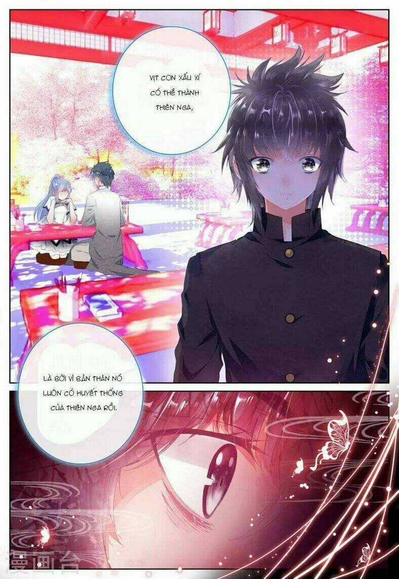 Sóc Nguyệt Chapter 5 trang 17