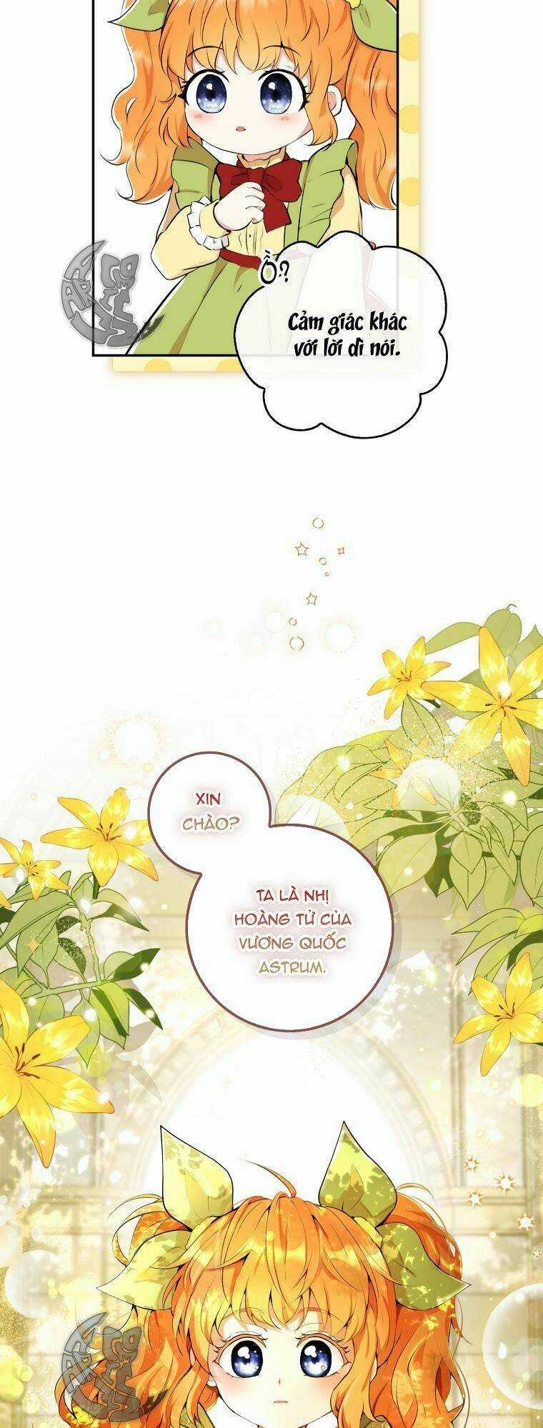 Sóc Nhỏ Tài Năng Chapter 1 trang 37