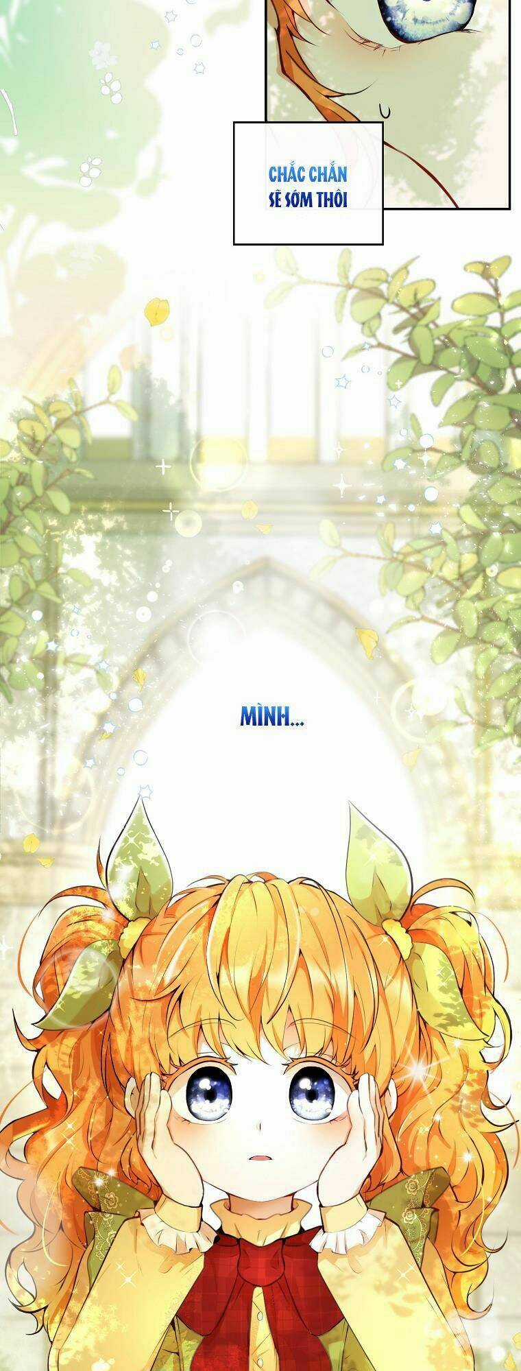 Sóc Nhỏ Tài Năng Chapter 1 trang 5