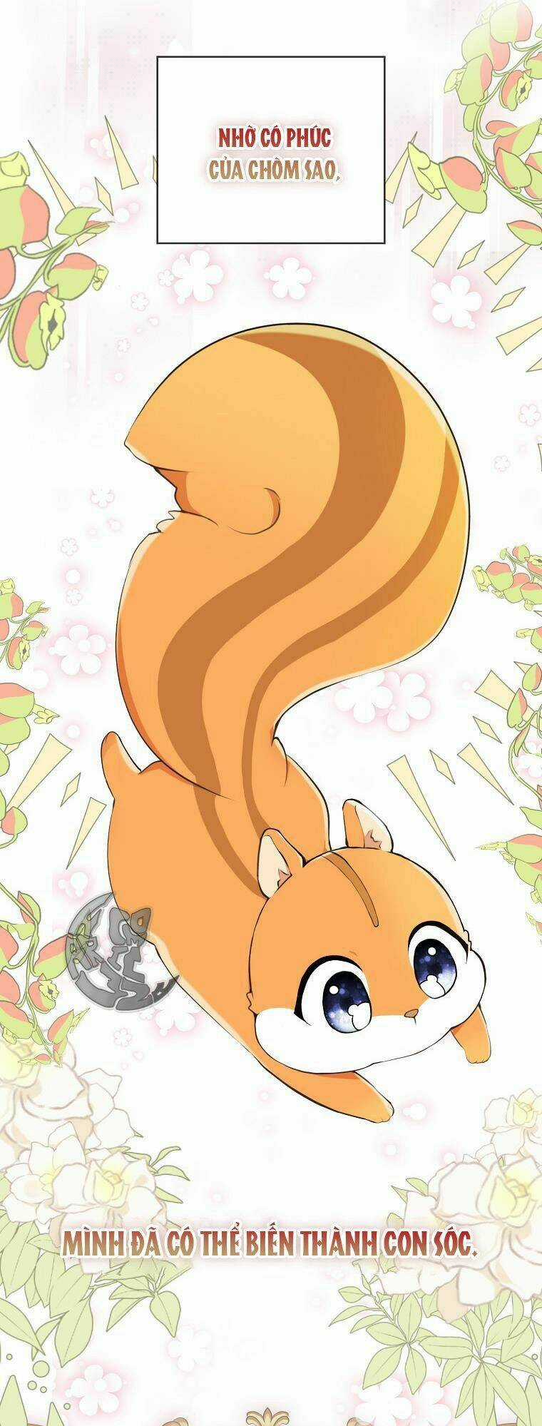 Sóc Nhỏ Tài Năng Chapter 1 trang 54