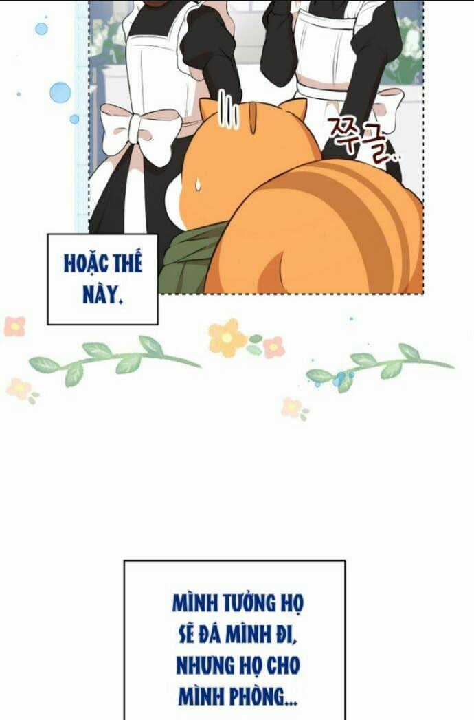 Sóc Nhỏ Tài Năng Chapter 10 trang 23