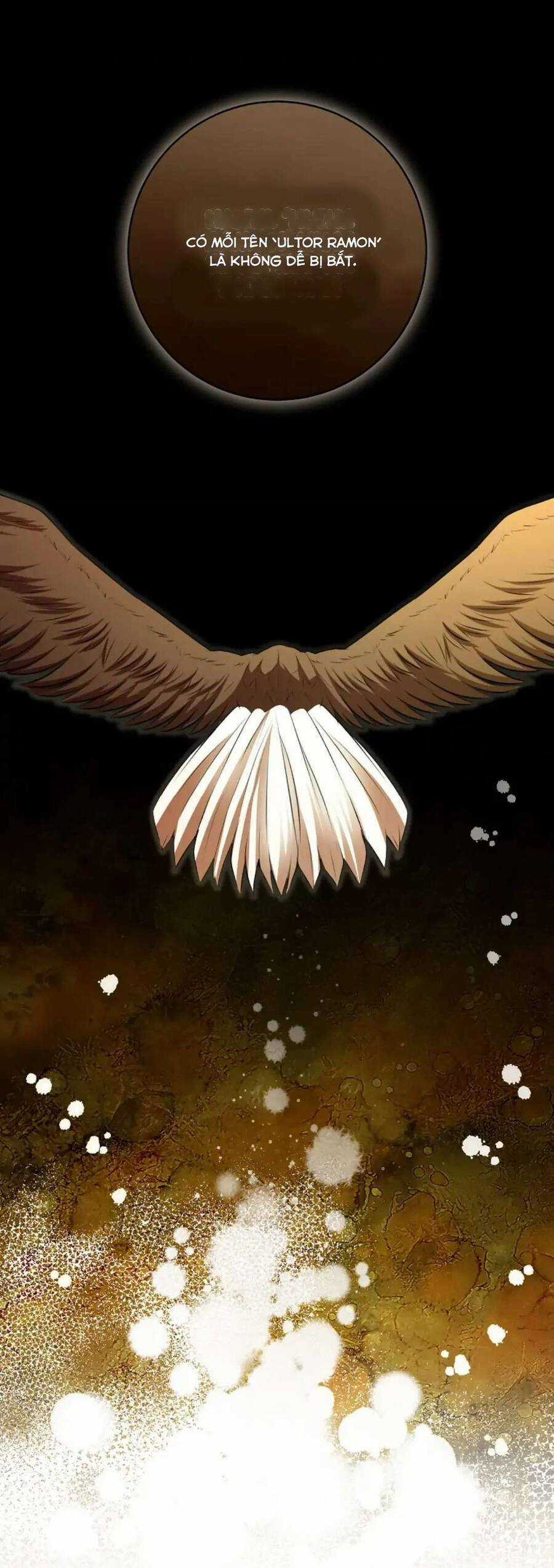 Sóc Nhỏ Tài Năng Chapter 100 trang 34