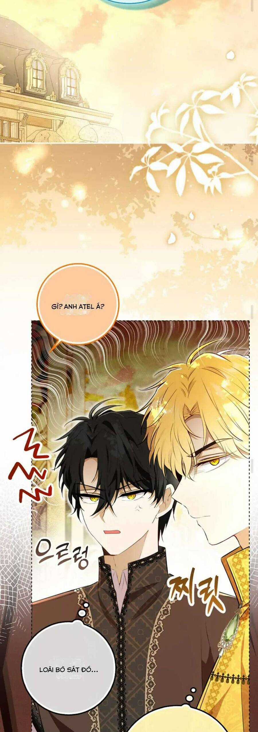 Sóc Nhỏ Tài Năng Chapter 100 trang 37