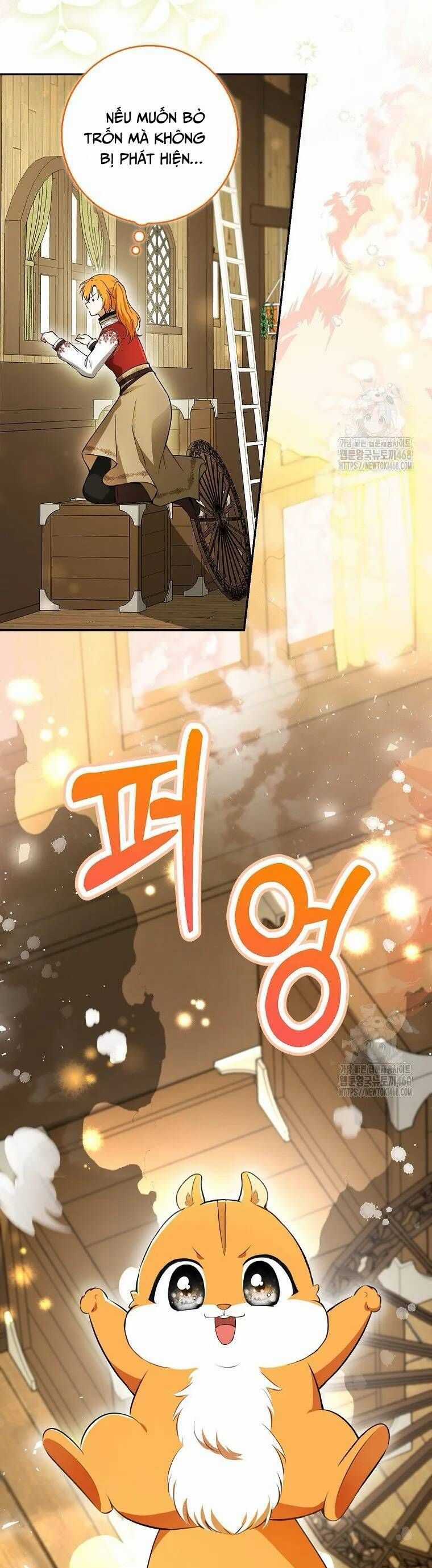 Sóc Nhỏ Tài Năng Chapter 104 trang 19