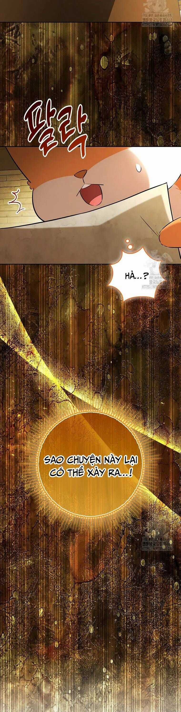 Sóc Nhỏ Tài Năng Chapter 104 trang 28