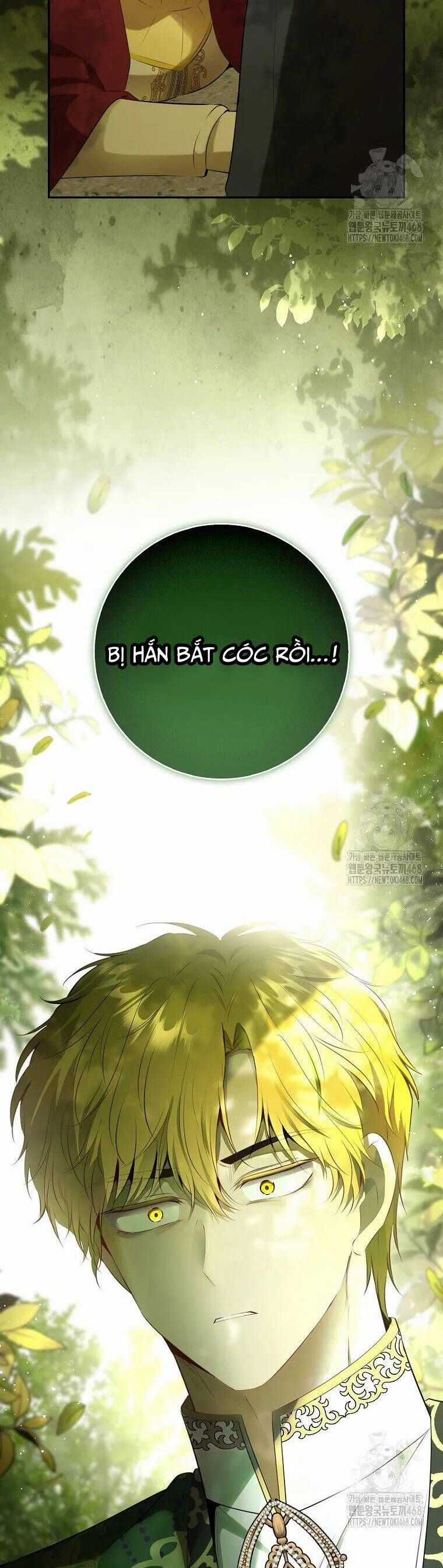 Sóc Nhỏ Tài Năng Chapter 104 trang 5