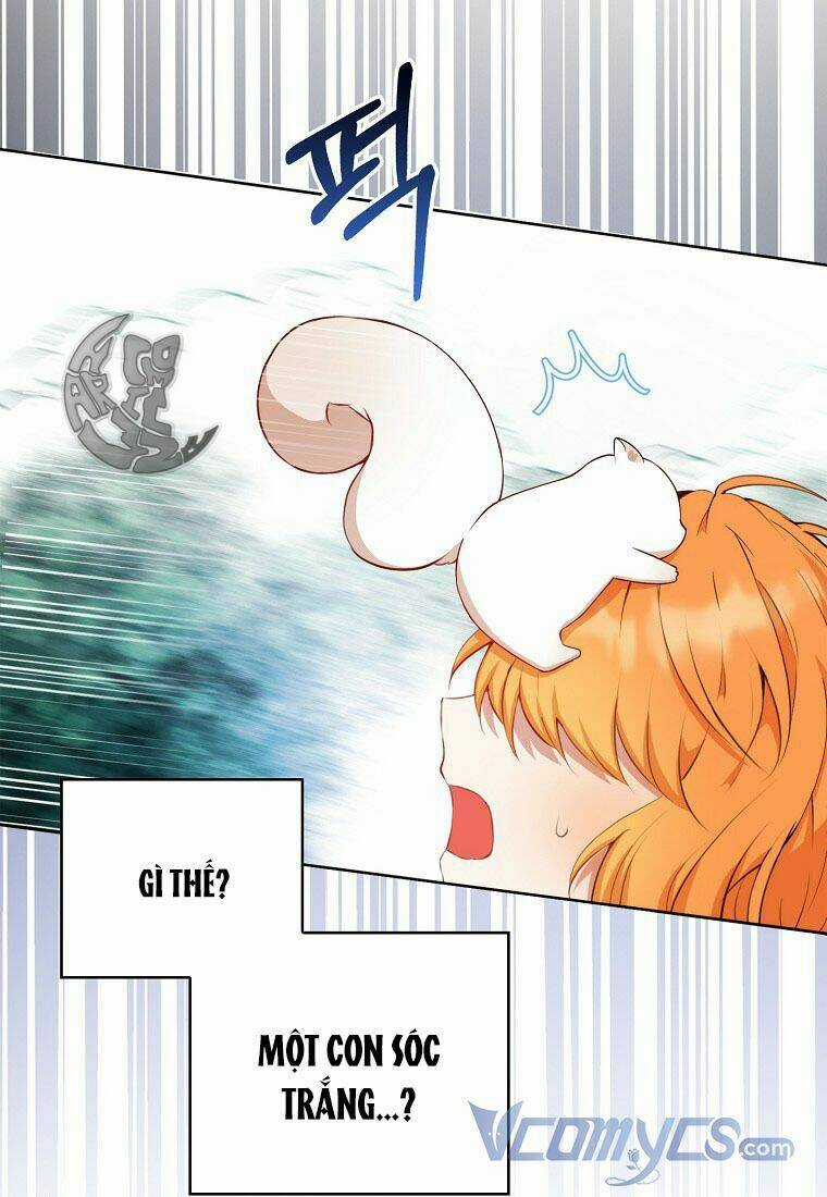 Sóc Nhỏ Tài Năng Chapter 12 trang 110