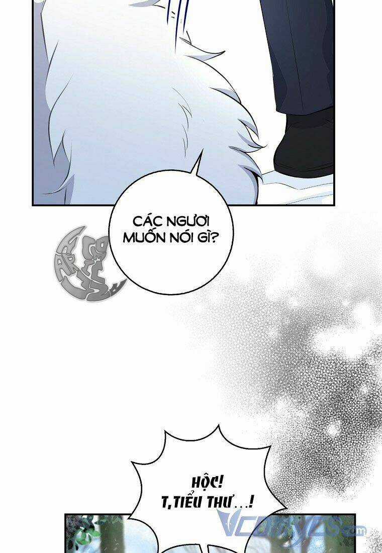 Sóc Nhỏ Tài Năng Chapter 13 trang 31