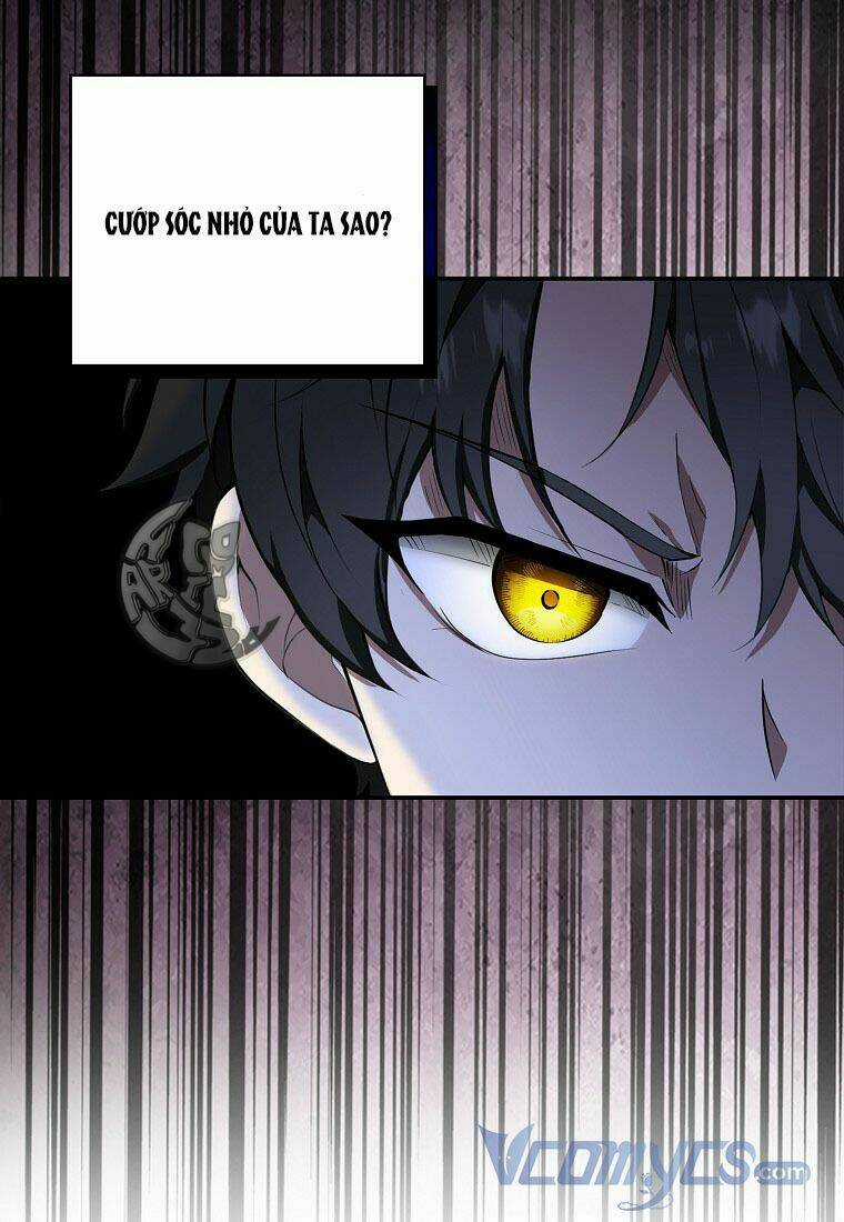 Sóc Nhỏ Tài Năng Chapter 13 trang 43