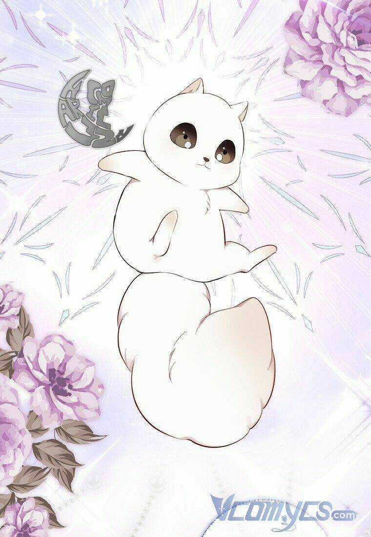 Sóc Nhỏ Tài Năng Chapter 13 trang 54