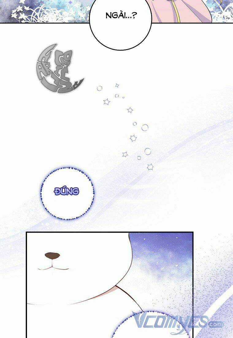 Sóc Nhỏ Tài Năng Chapter 13 trang 58