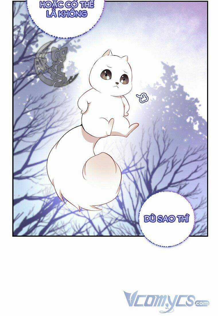 Sóc Nhỏ Tài Năng Chapter 13 trang 61