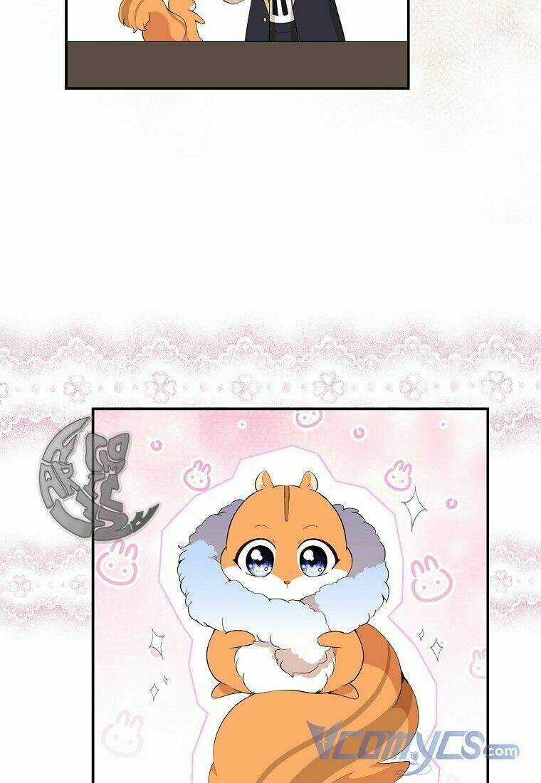 Sóc Nhỏ Tài Năng Chapter 13 trang 7