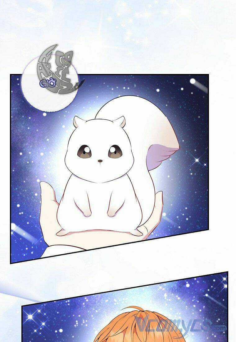 Sóc Nhỏ Tài Năng Chapter 13 trang 81