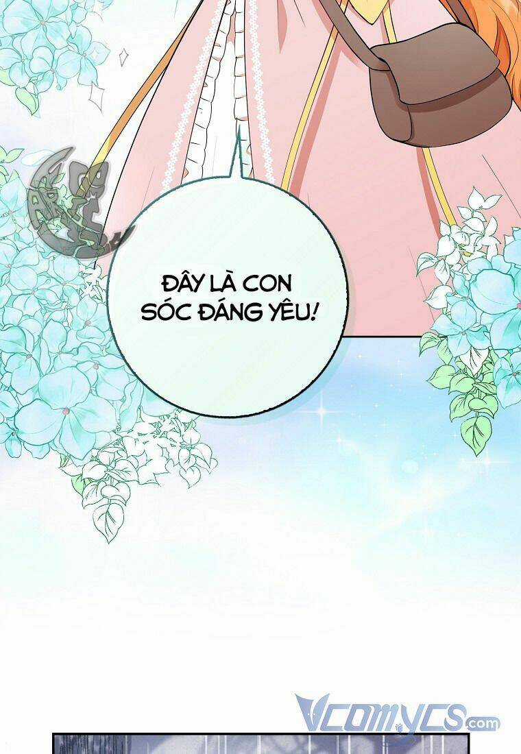 Sóc Nhỏ Tài Năng Chapter 14 trang 40