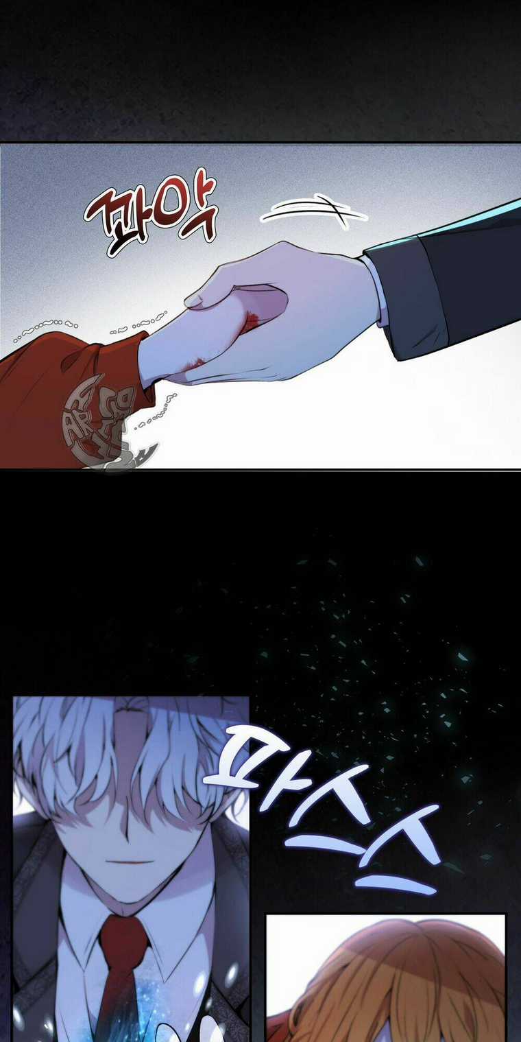 Sóc Nhỏ Tài Năng Chapter 2 trang 39