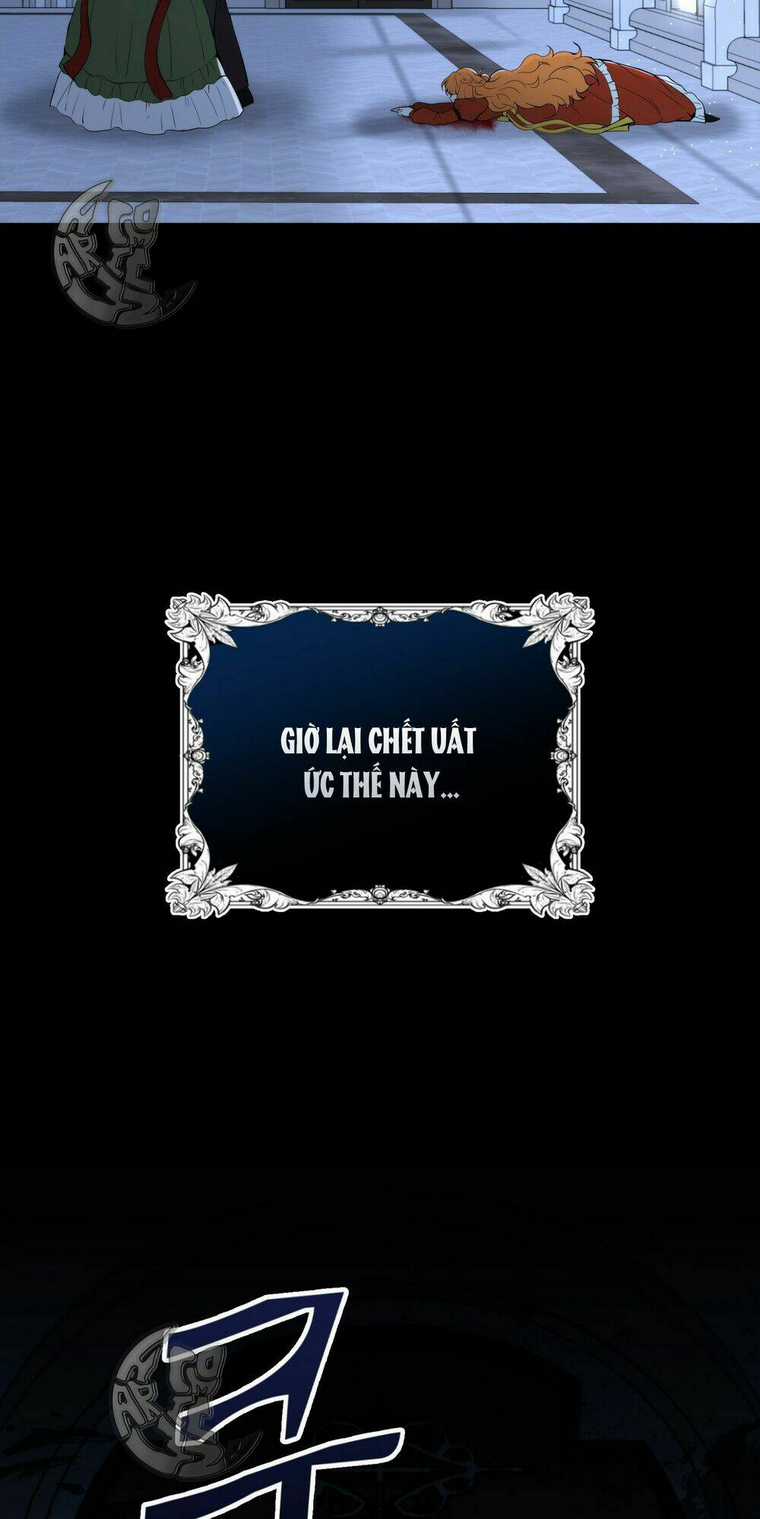 Sóc Nhỏ Tài Năng Chapter 2 trang 48