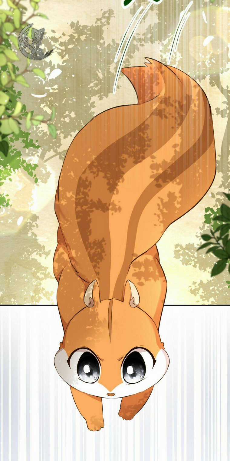 Sóc Nhỏ Tài Năng Chapter 2 trang 74