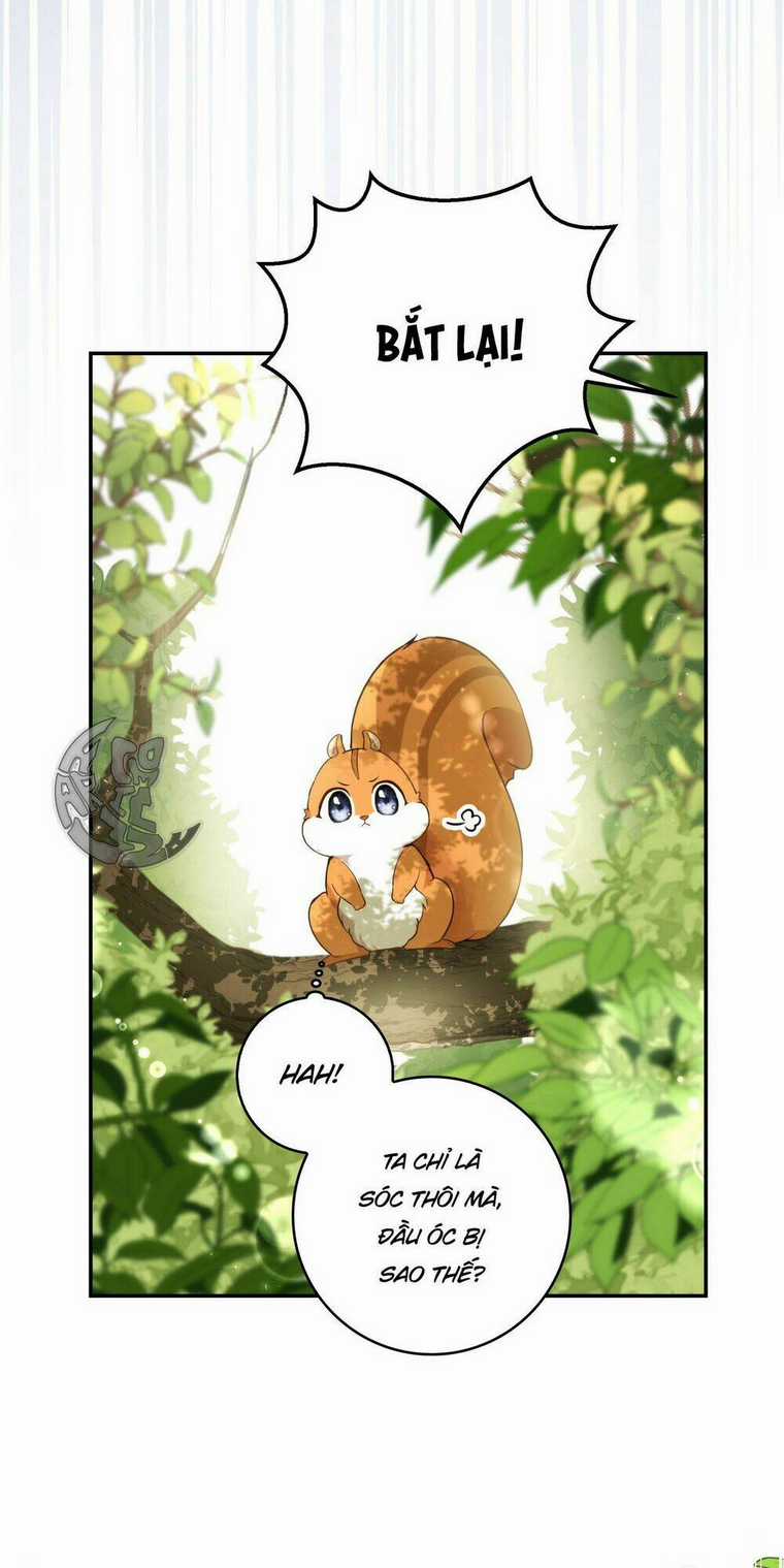 Sóc Nhỏ Tài Năng Chapter 2 trang 75