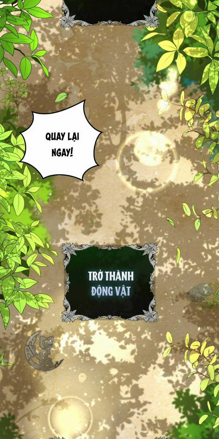 Sóc Nhỏ Tài Năng Chapter 2 trang 77