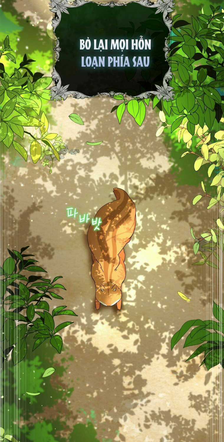 Sóc Nhỏ Tài Năng Chapter 2 trang 78