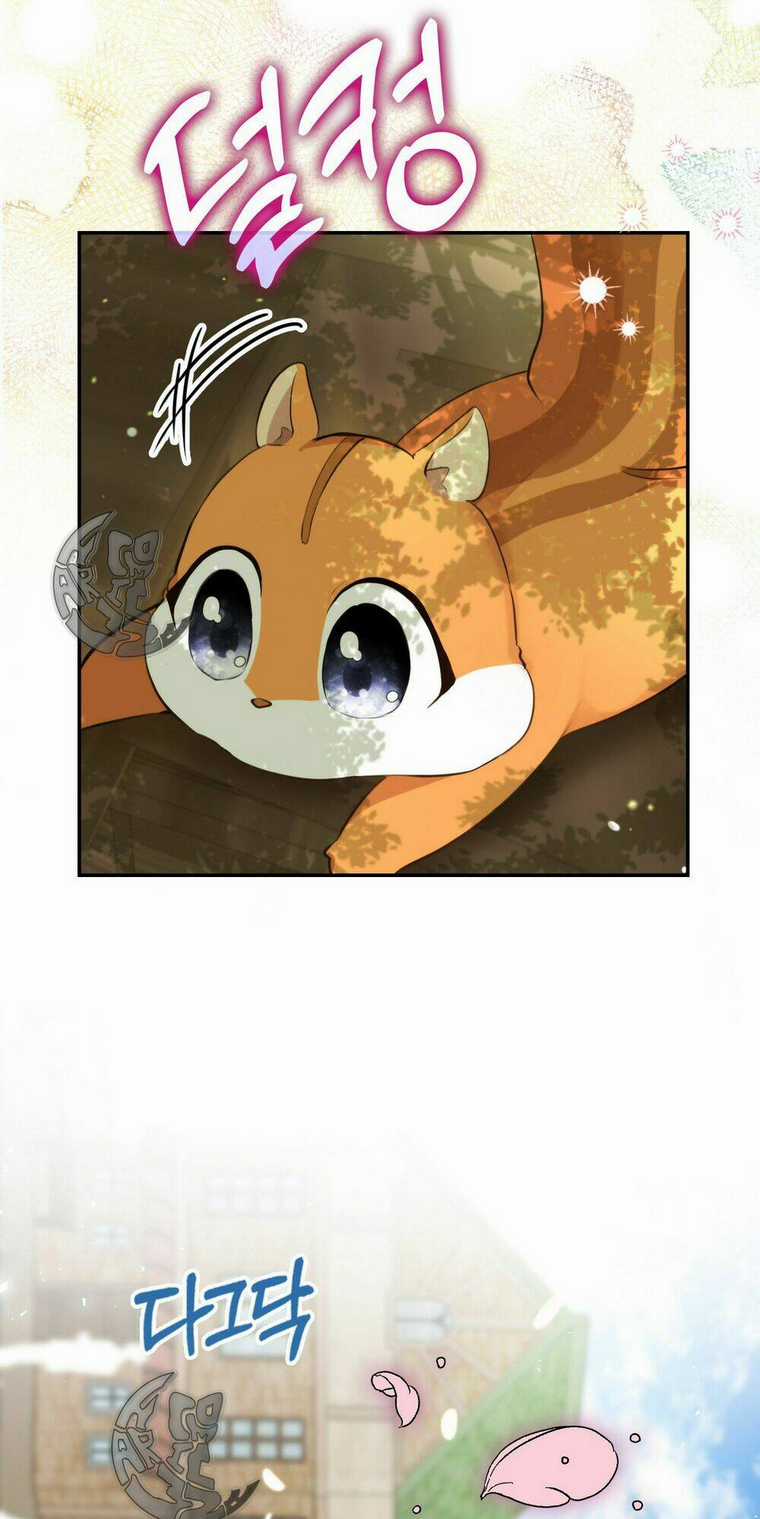 Sóc Nhỏ Tài Năng Chapter 2 trang 82