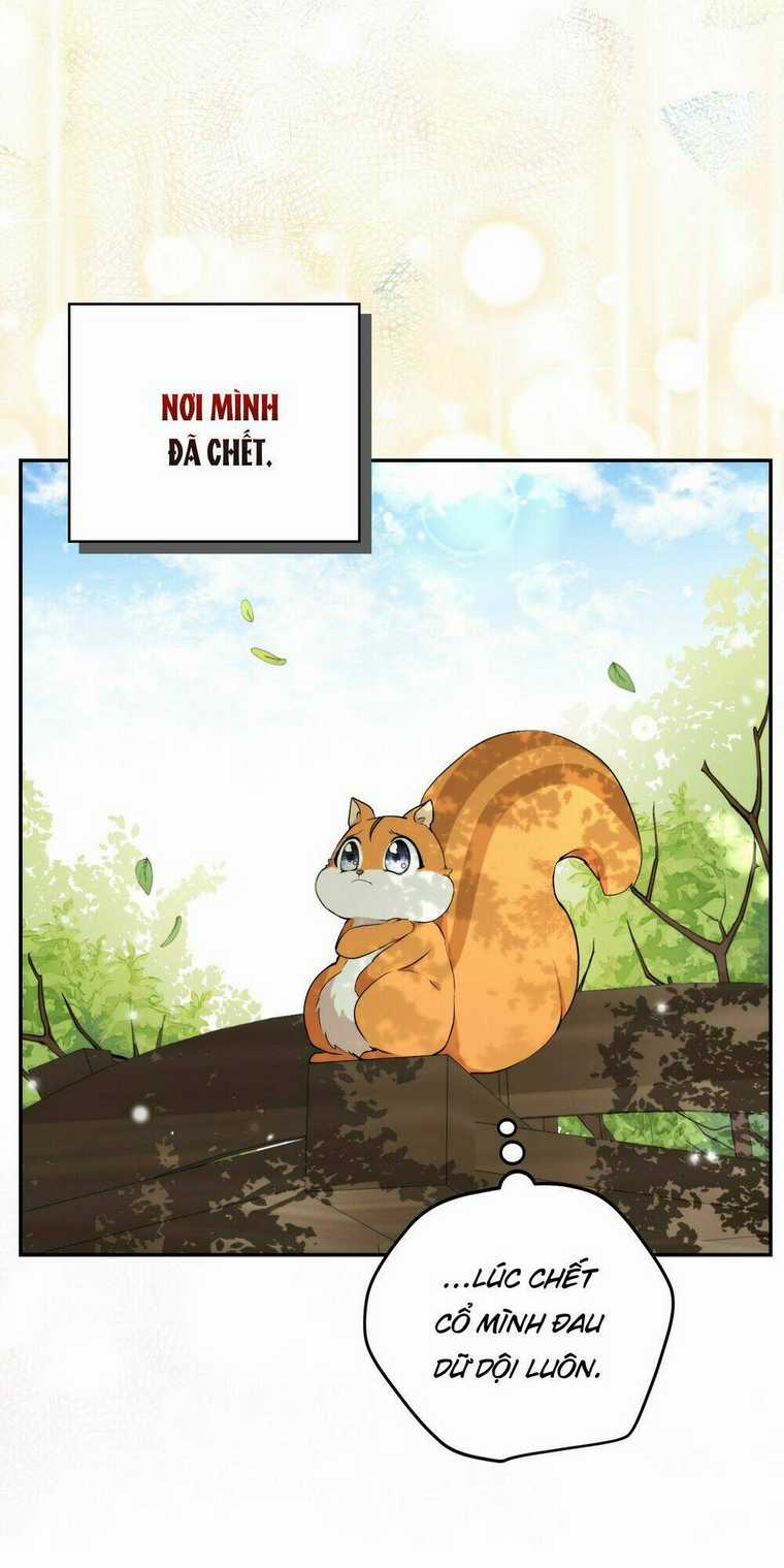 Sóc Nhỏ Tài Năng Chapter 2 trang 87