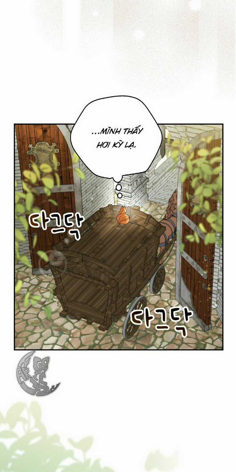 Sóc Nhỏ Tài Năng Chapter 2 trang 89