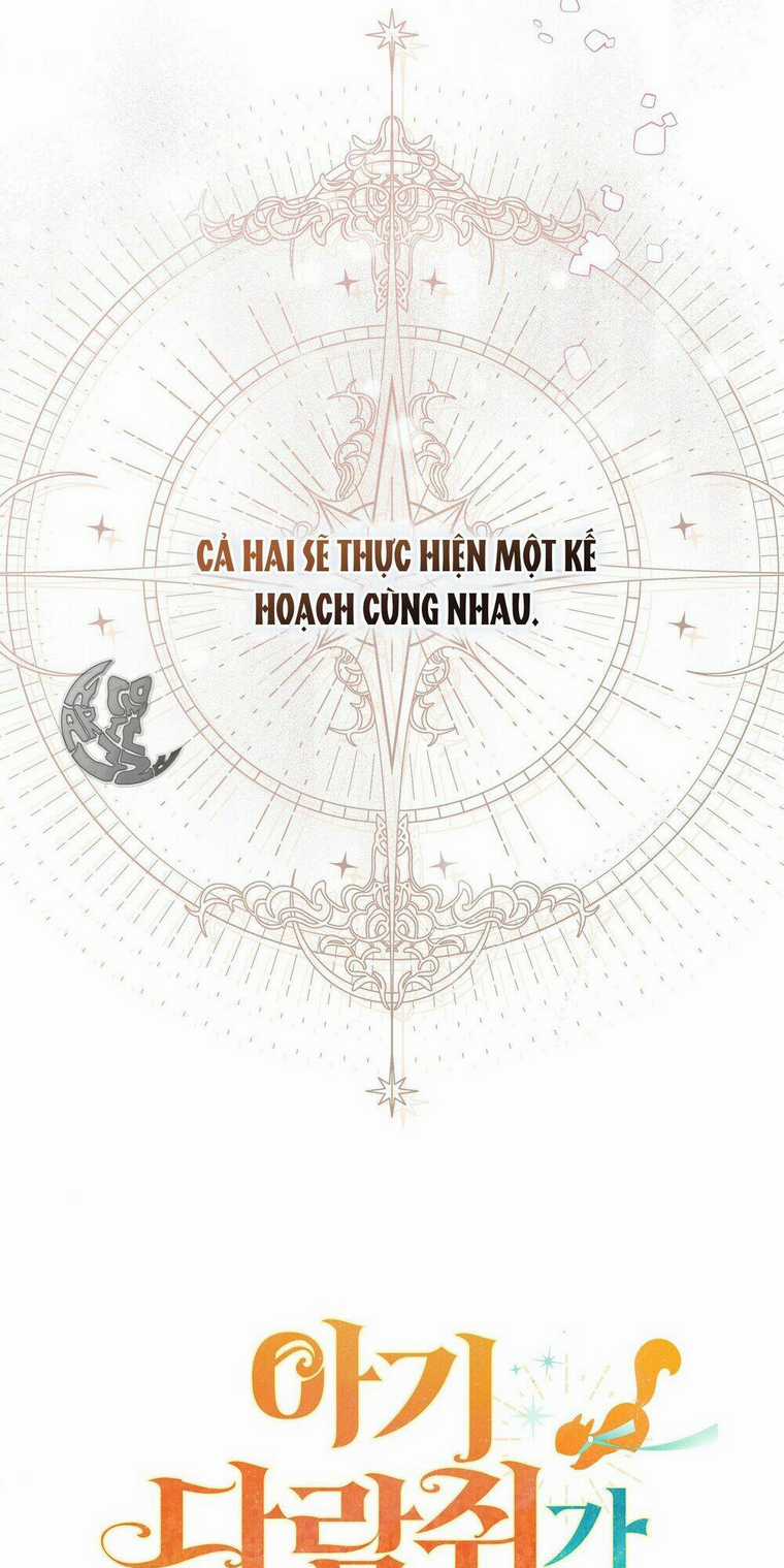 Sóc Nhỏ Tài Năng Chapter 2 trang 9