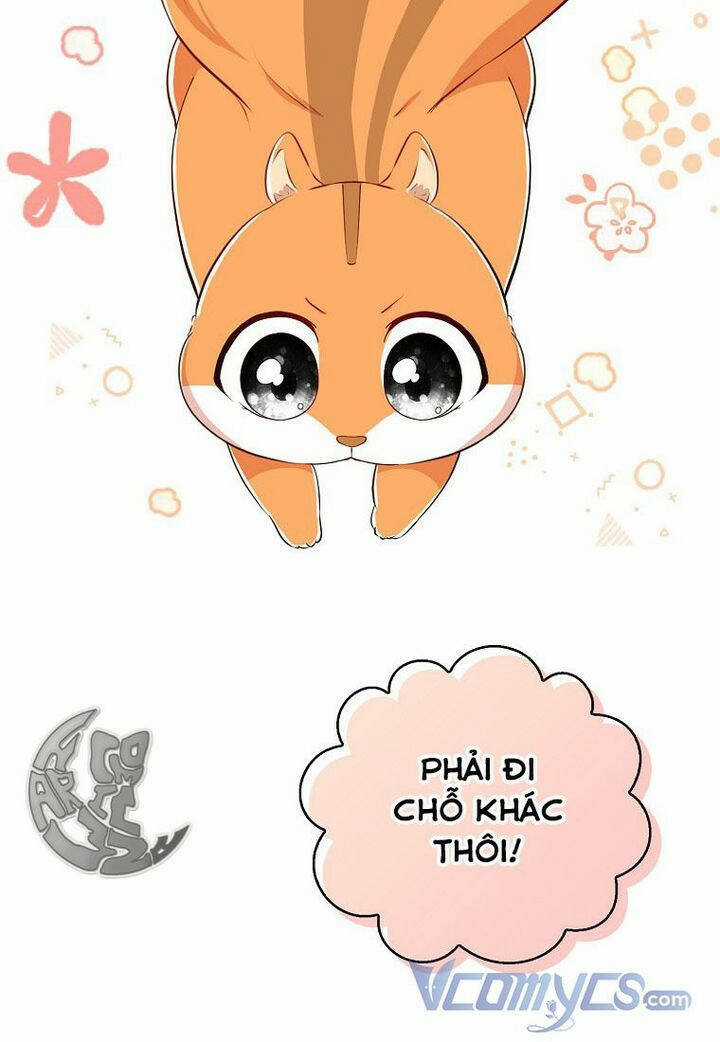 Sóc Nhỏ Tài Năng Chapter 22 trang 63