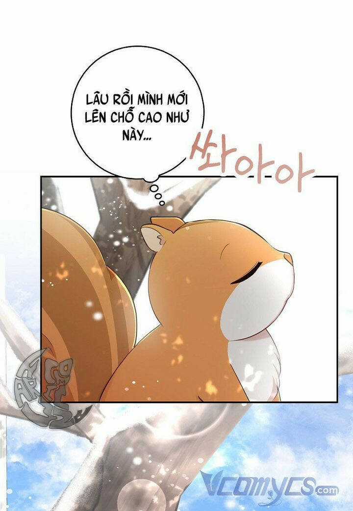 Sóc Nhỏ Tài Năng Chapter 22 trang 66