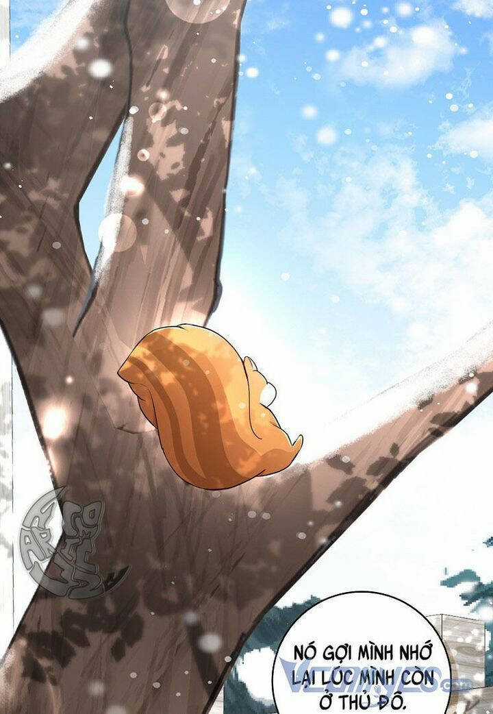 Sóc Nhỏ Tài Năng Chapter 22 trang 67