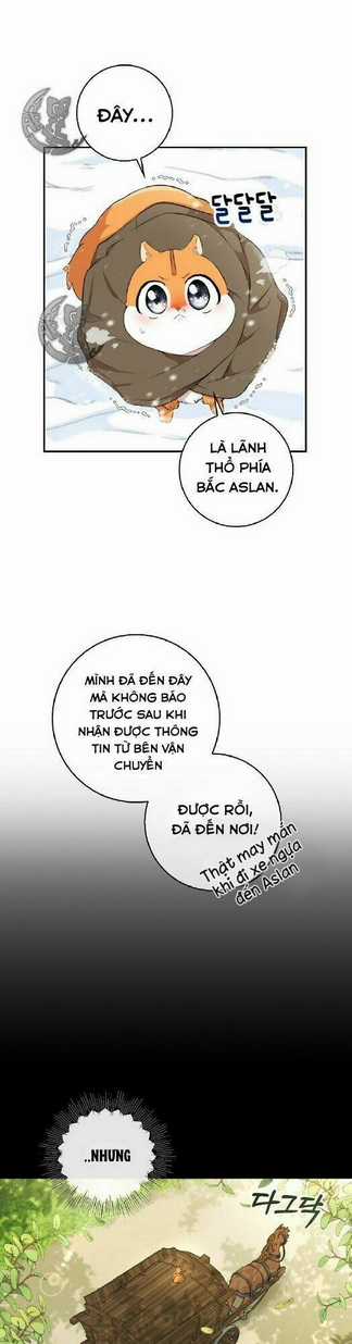 Sóc Nhỏ Tài Năng Chapter 3 trang 12