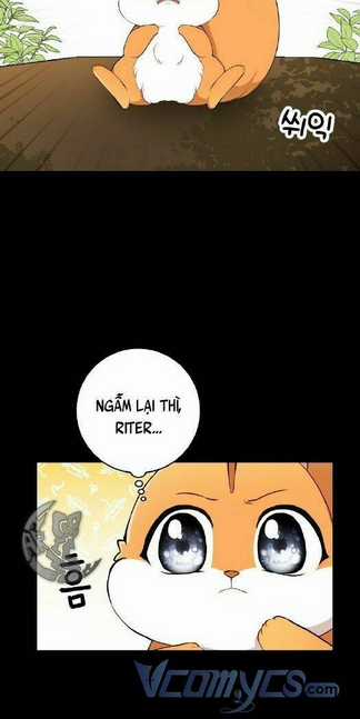 Sóc Nhỏ Tài Năng Chapter 3 trang 14