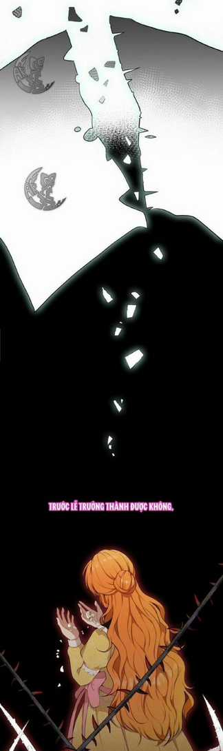 Sóc Nhỏ Tài Năng Chapter 3 trang 27