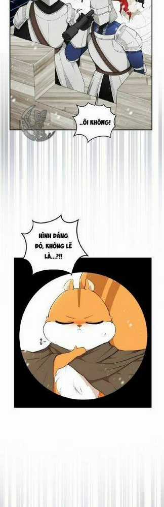 Sóc Nhỏ Tài Năng Chapter 3 trang 34