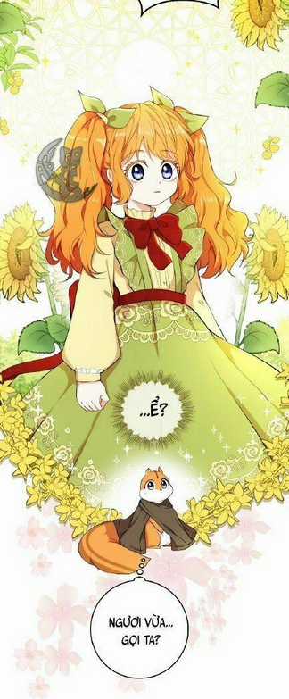 Sóc Nhỏ Tài Năng Chapter 3 trang 37