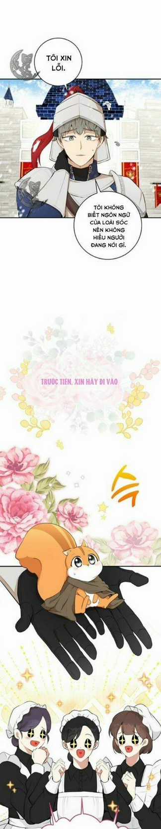 Sóc Nhỏ Tài Năng Chapter 3 trang 39