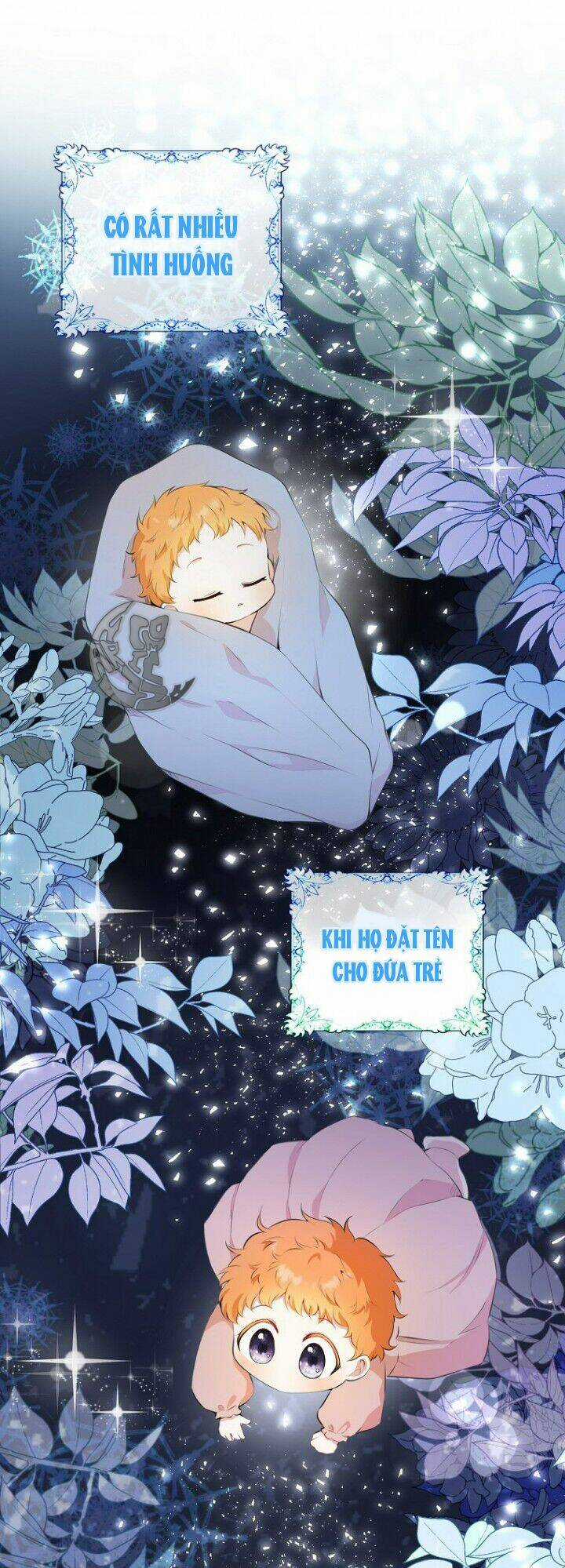 Sóc Nhỏ Tài Năng Chapter 5 trang 25