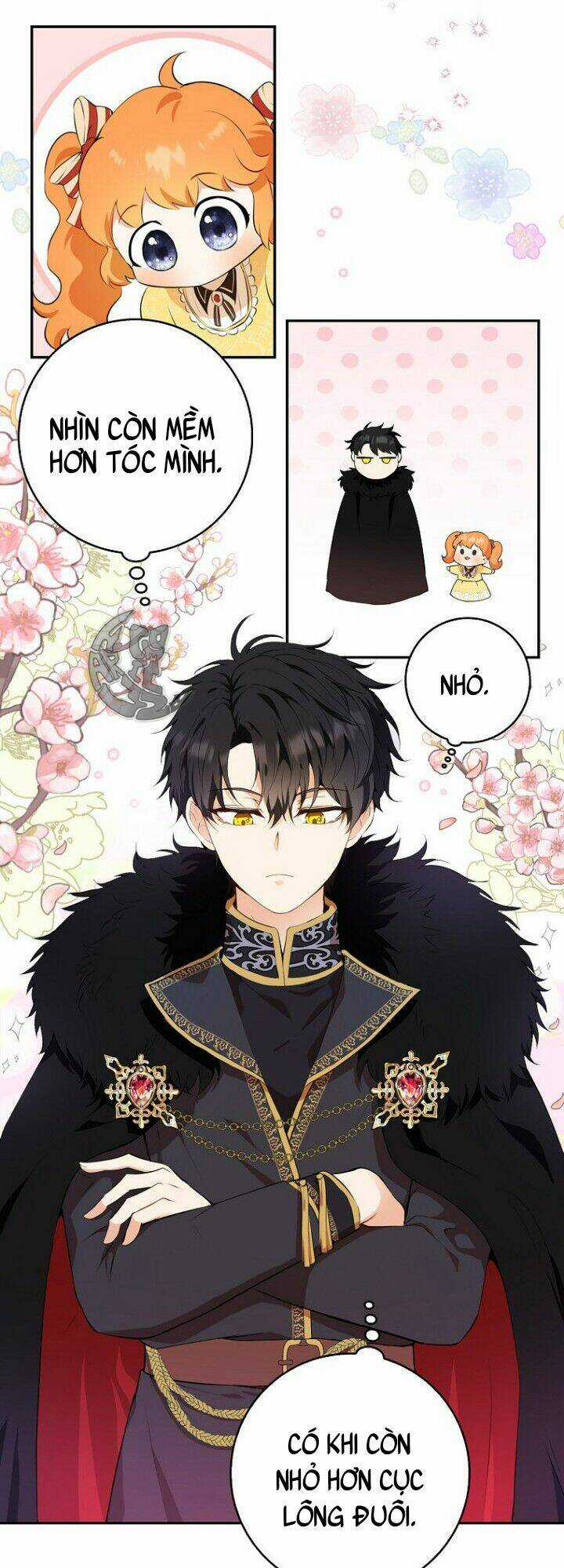 Sóc Nhỏ Tài Năng Chapter 5 trang 33