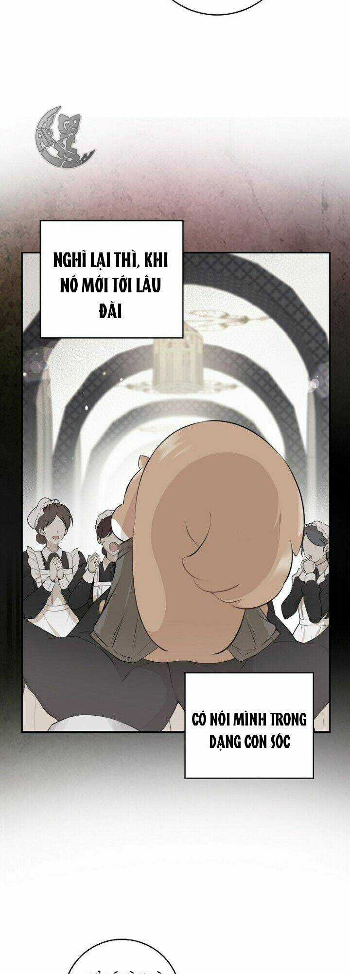 Sóc Nhỏ Tài Năng Chapter 5 trang 34