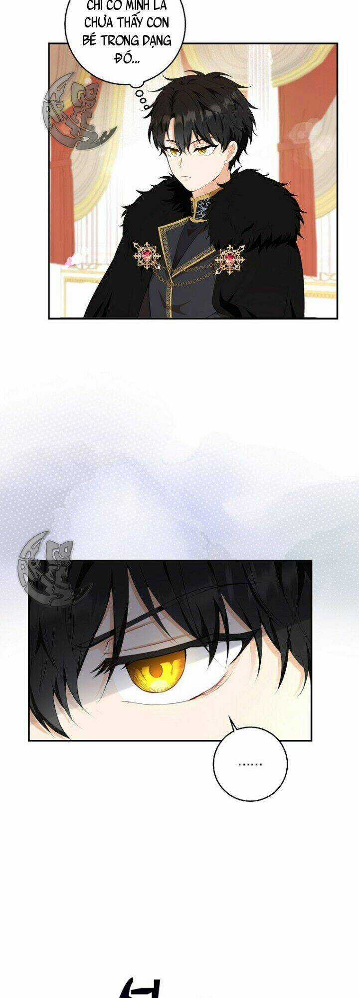 Sóc Nhỏ Tài Năng Chapter 5 trang 35